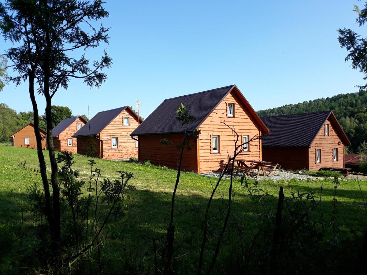 U Zrodel Strwiaza Villa Ustrzyki Dolne Luaran gambar